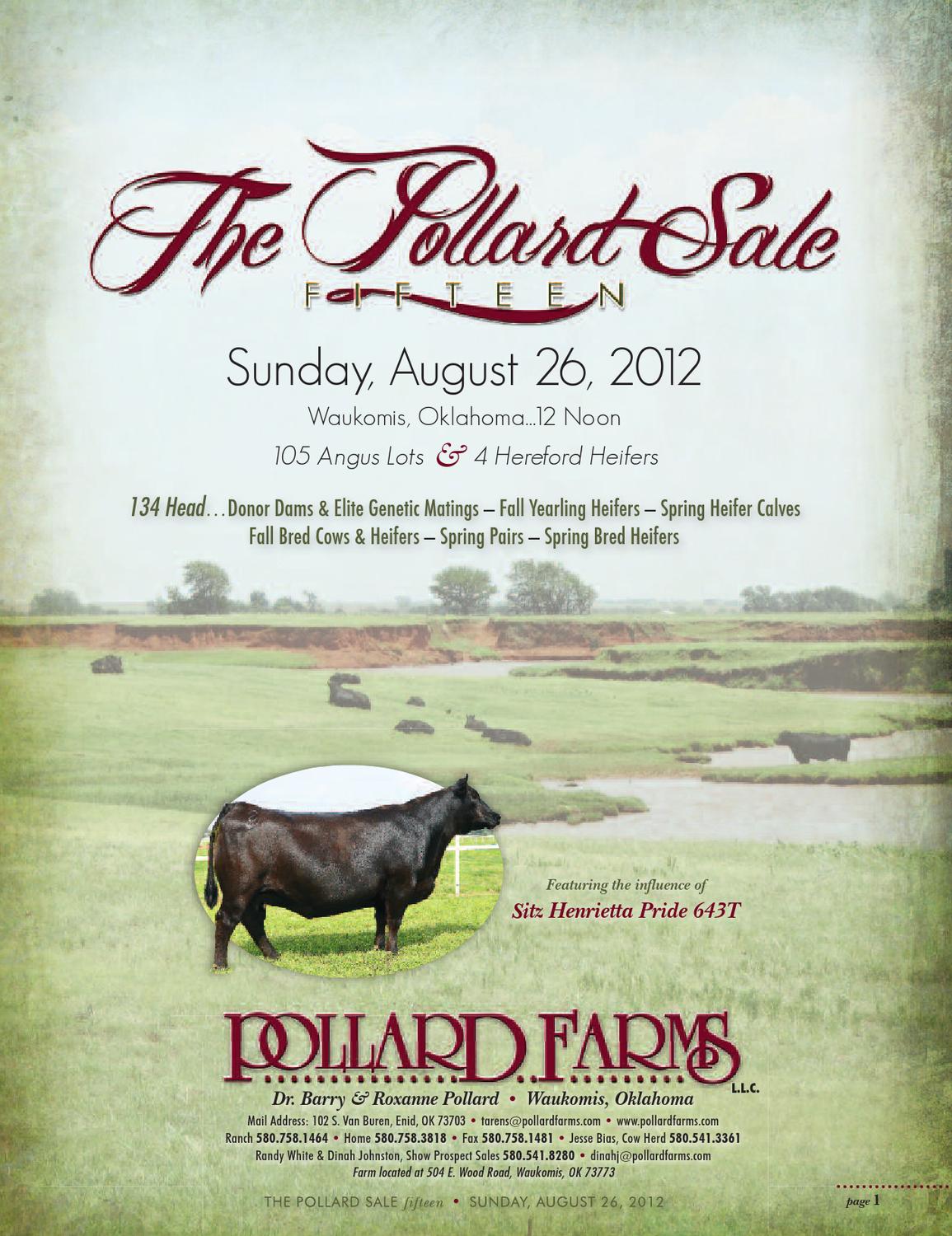 Pollard Farms Fall Angus Sale by Tracy McMurphy Issuu