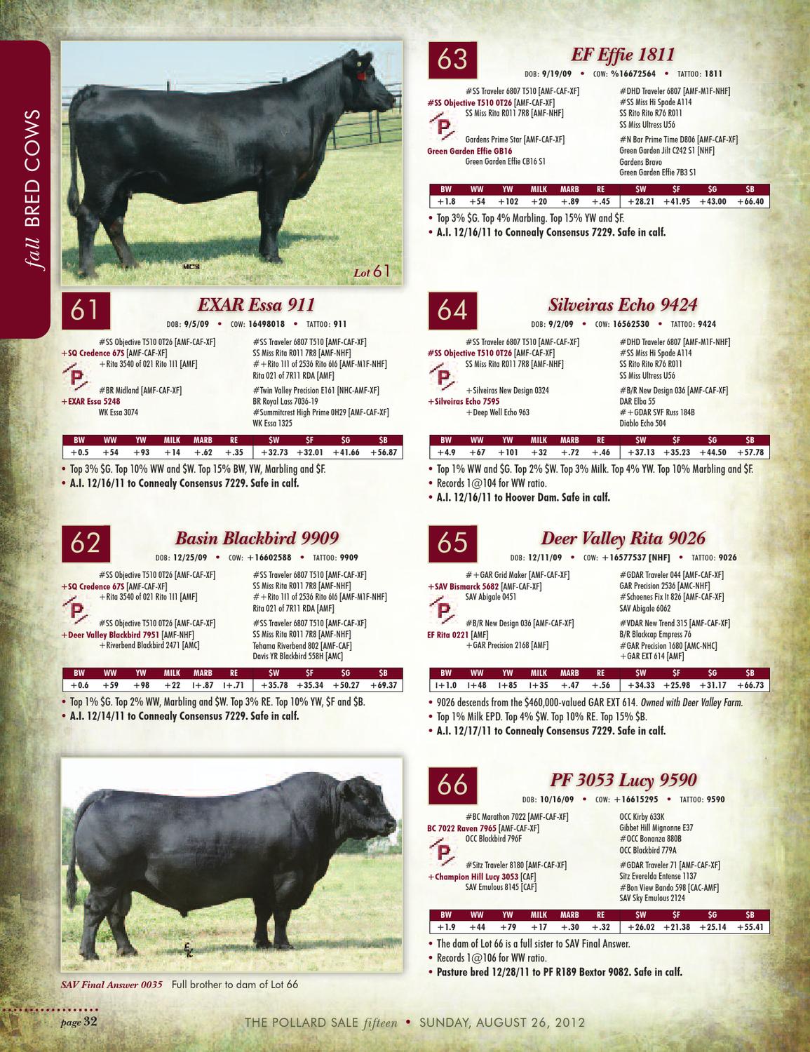 Pollard Farms Fall Angus Sale by Tracy McMurphy Issuu