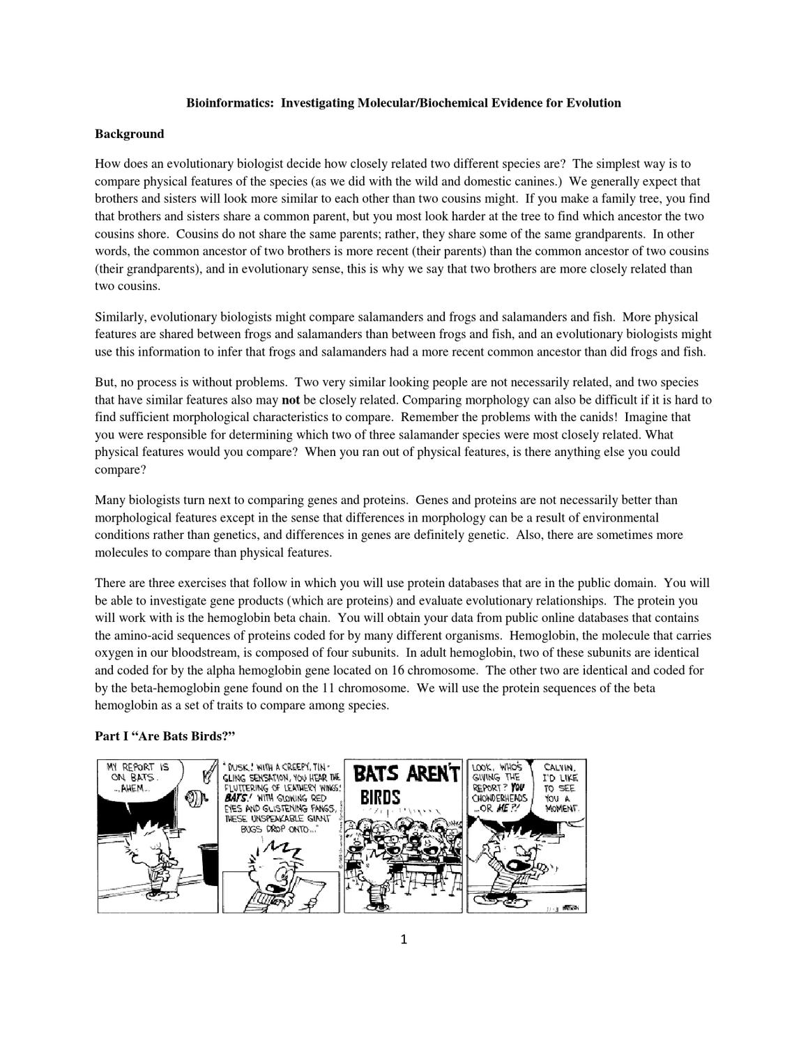 worksheet Biochemical Evidence For Evolution Worksheet bioinformatics ensi by joan rasmussen issuu