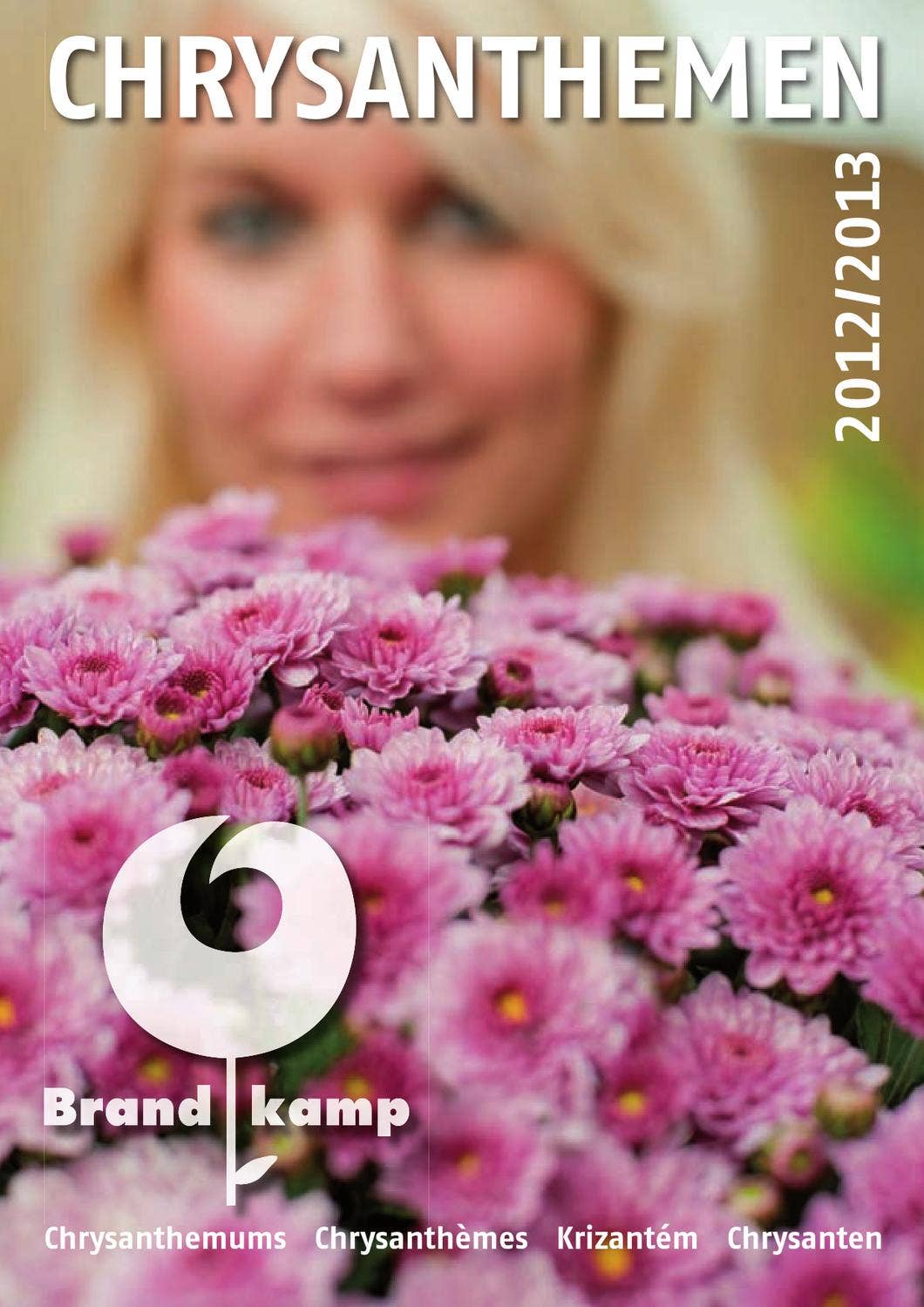Catalog Brandkamp Crizanteme 20122013 by Beppler SRL Issuu