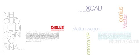 DIELLE / X-CAB 第 3 页