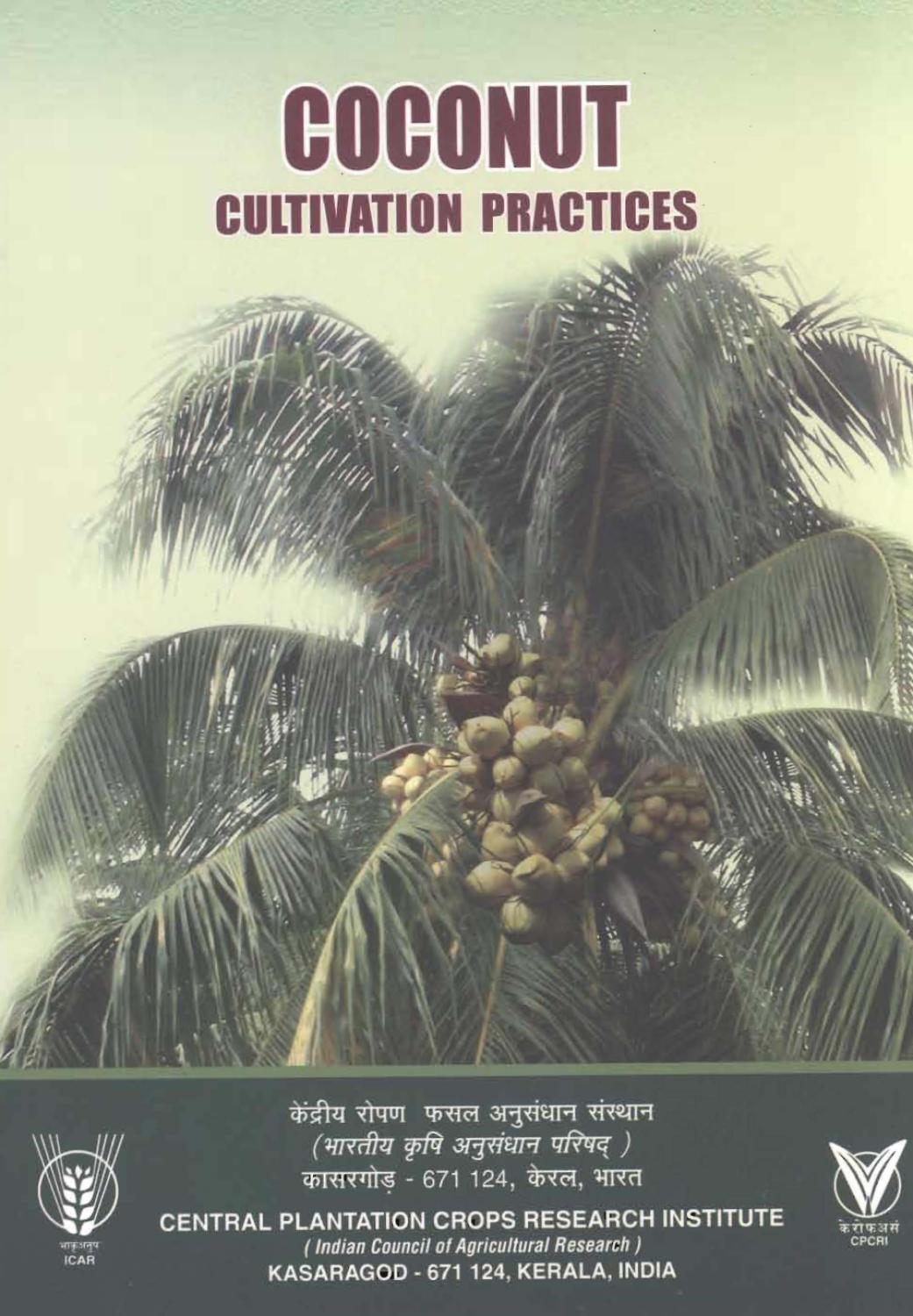 Coconut Cult English by Kisan Forum Pvt. Ltd. Issuu