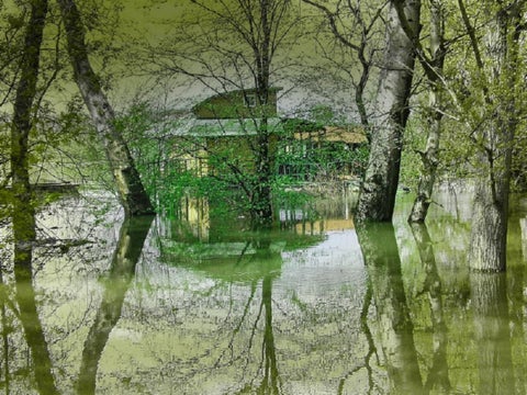 ada ciganlija srpsko more 4. 第 12 页