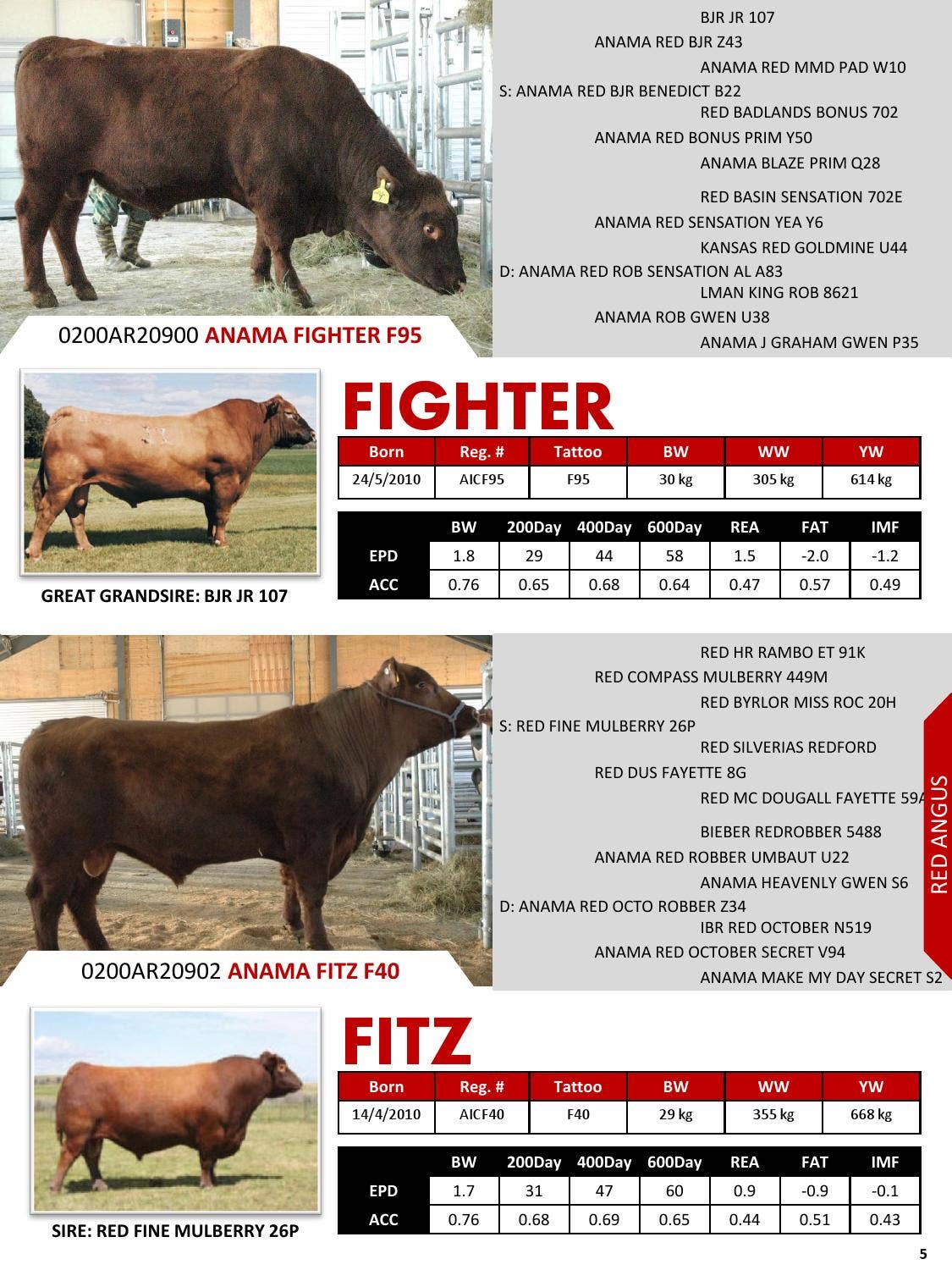 SIMAO出品 Semex China 2012 Beef Catalogue by Semex - Issuu