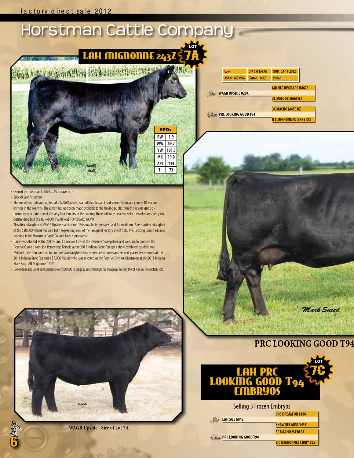 Factory Direct Sale Horstman Cattle Co. by The Show Circuit Issuu