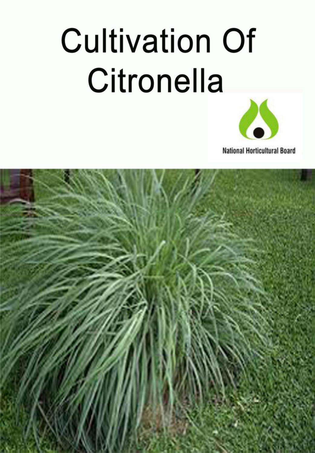 Cultivation Of Citronella, NHB by Kisan Forum Pvt. Ltd. Issuu
