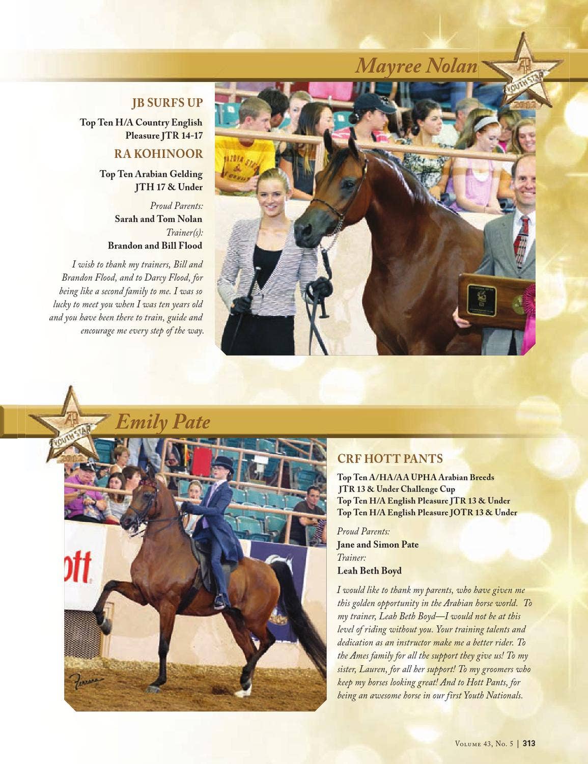 page_313_social_preview.jpg