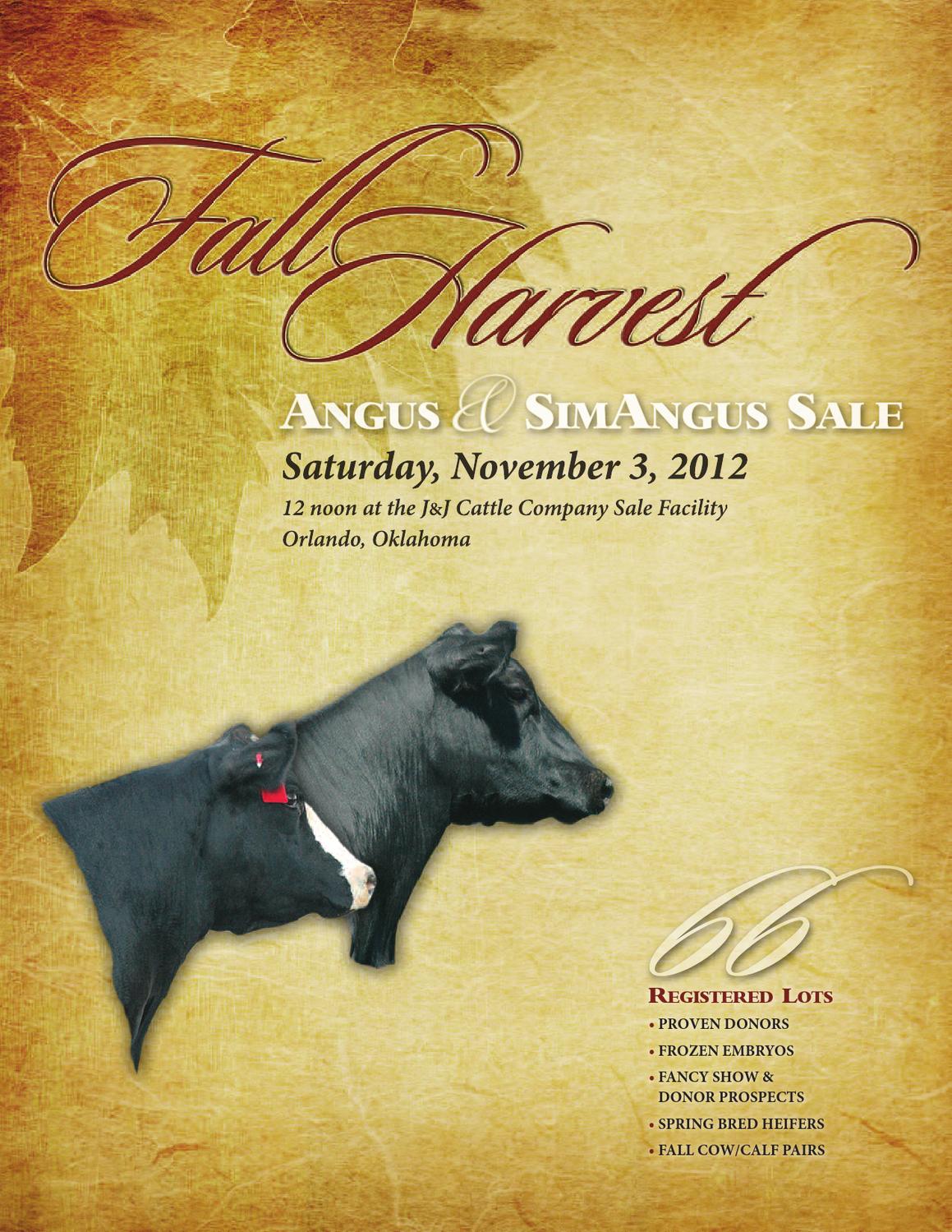 Fall Harvest Catalog by Tracy McMurphy Issuu