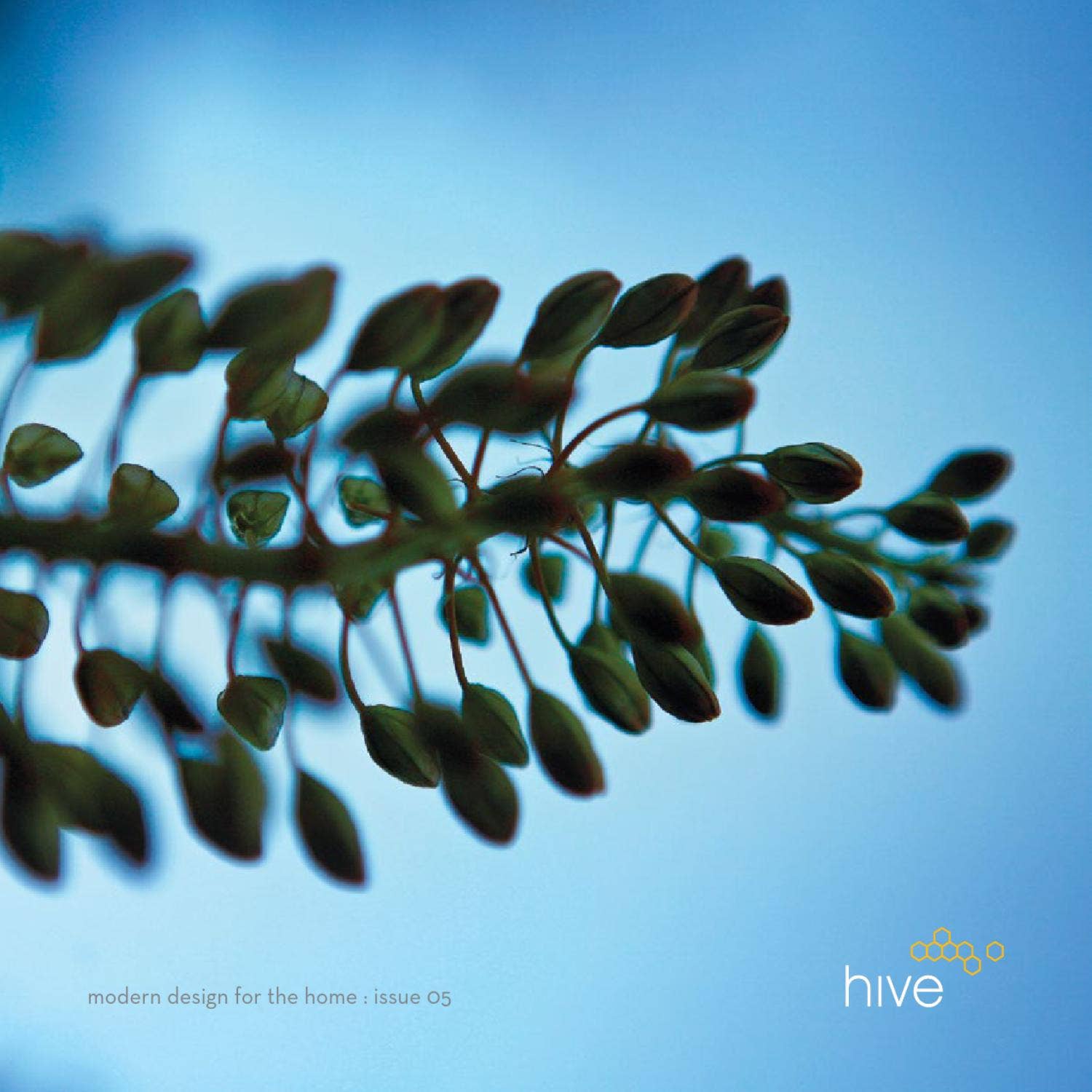 hive catalog issue 05 by Issuu