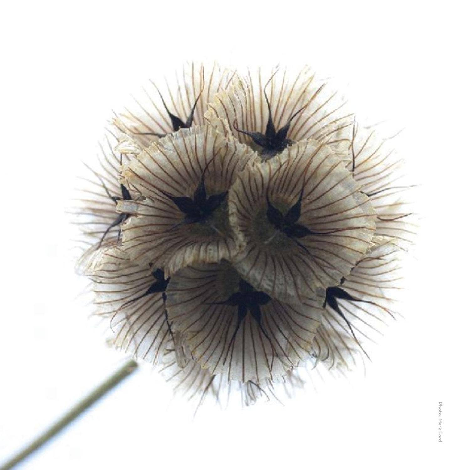 hive catalog issue 05 by Issuu