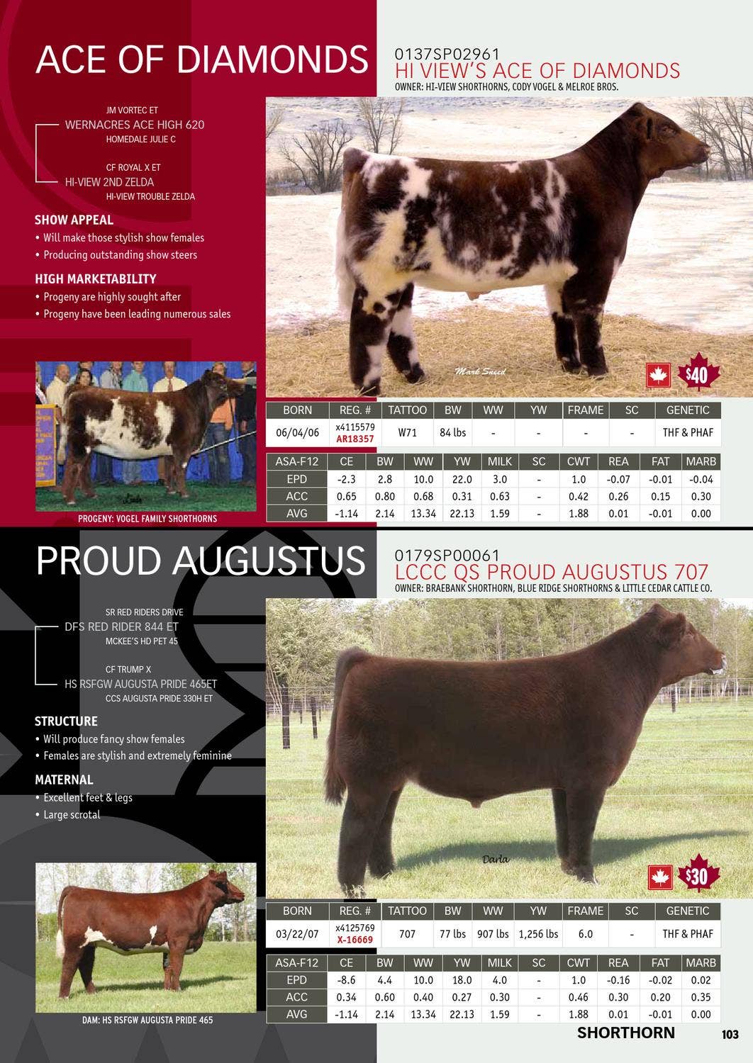 2013 International Semex Beef Catalogue by Semex - Issuu