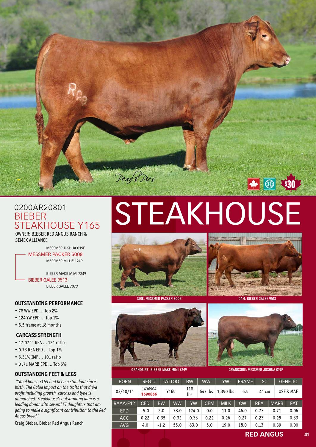 2013 International Semex Beef Catalogue by Semex Issuu
