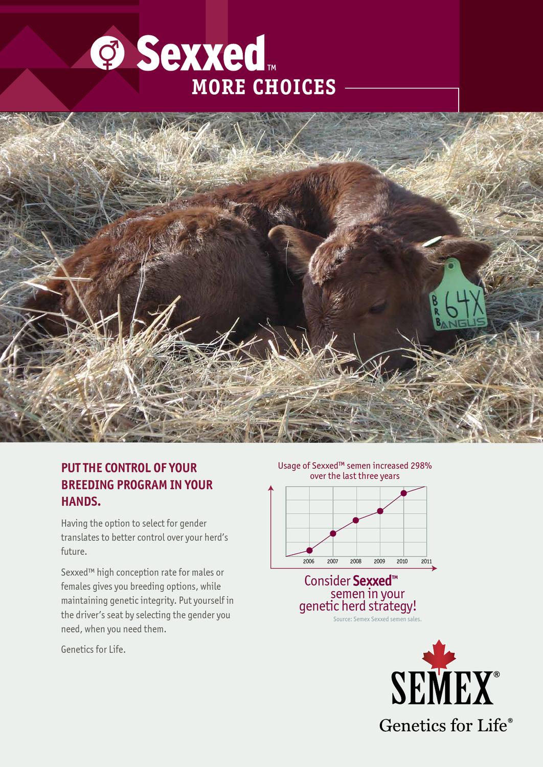 2013 International Semex Beef Catalogue by Semex Issuu