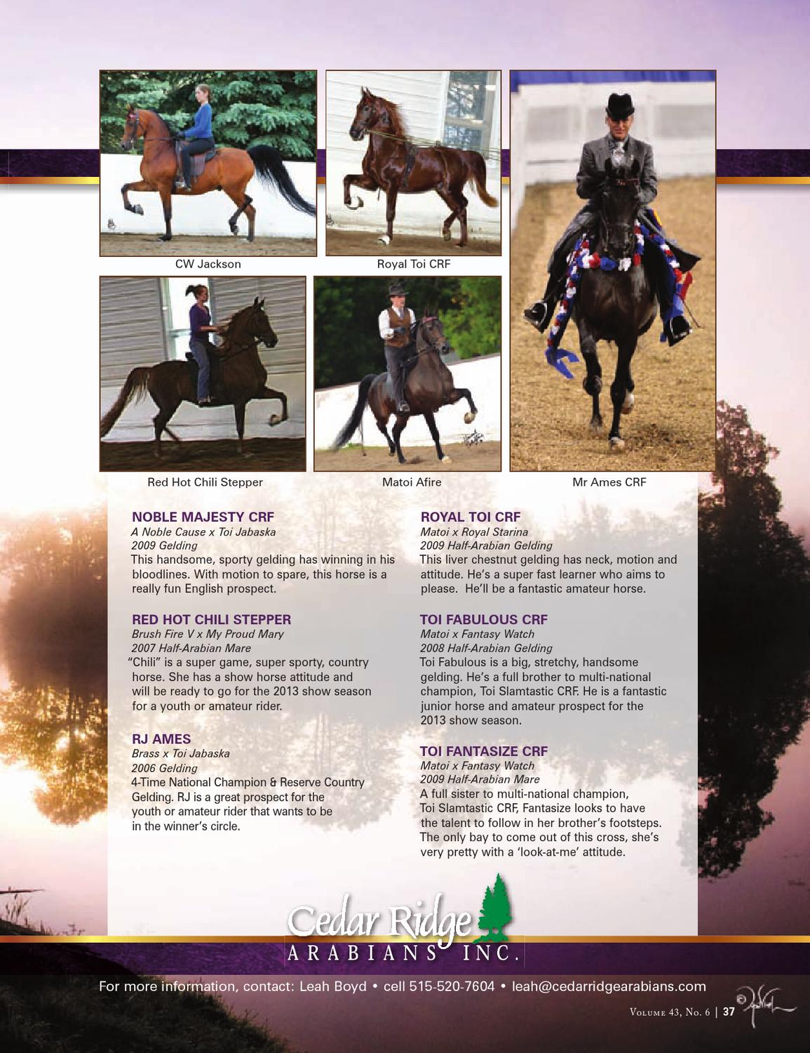 Arabian Horse Times Vol. 43, No
