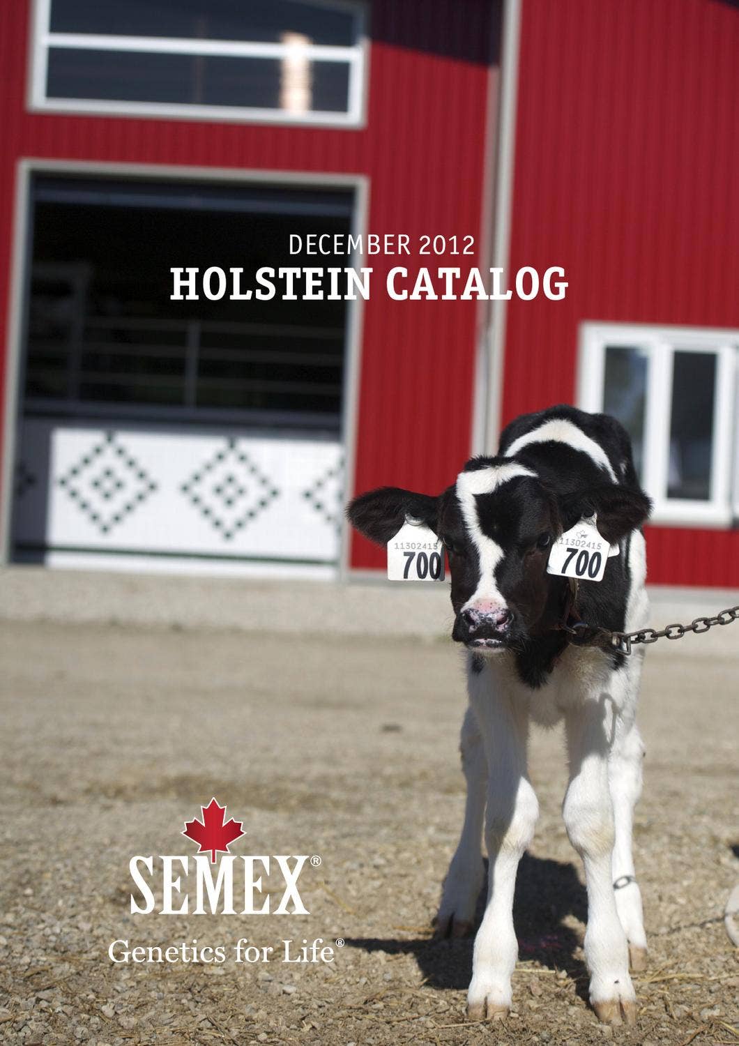 Semex December 2012 USA Holstein Catalog by Semex Issuu