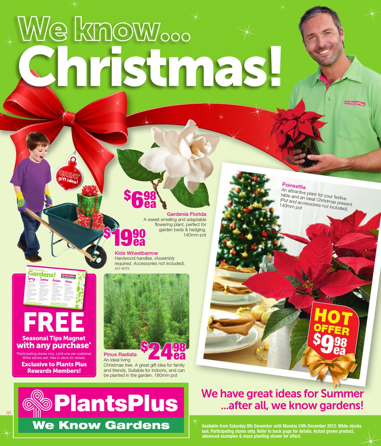 Plants Plus Christmas Catalogue 2012 by Echo Publications Issuu