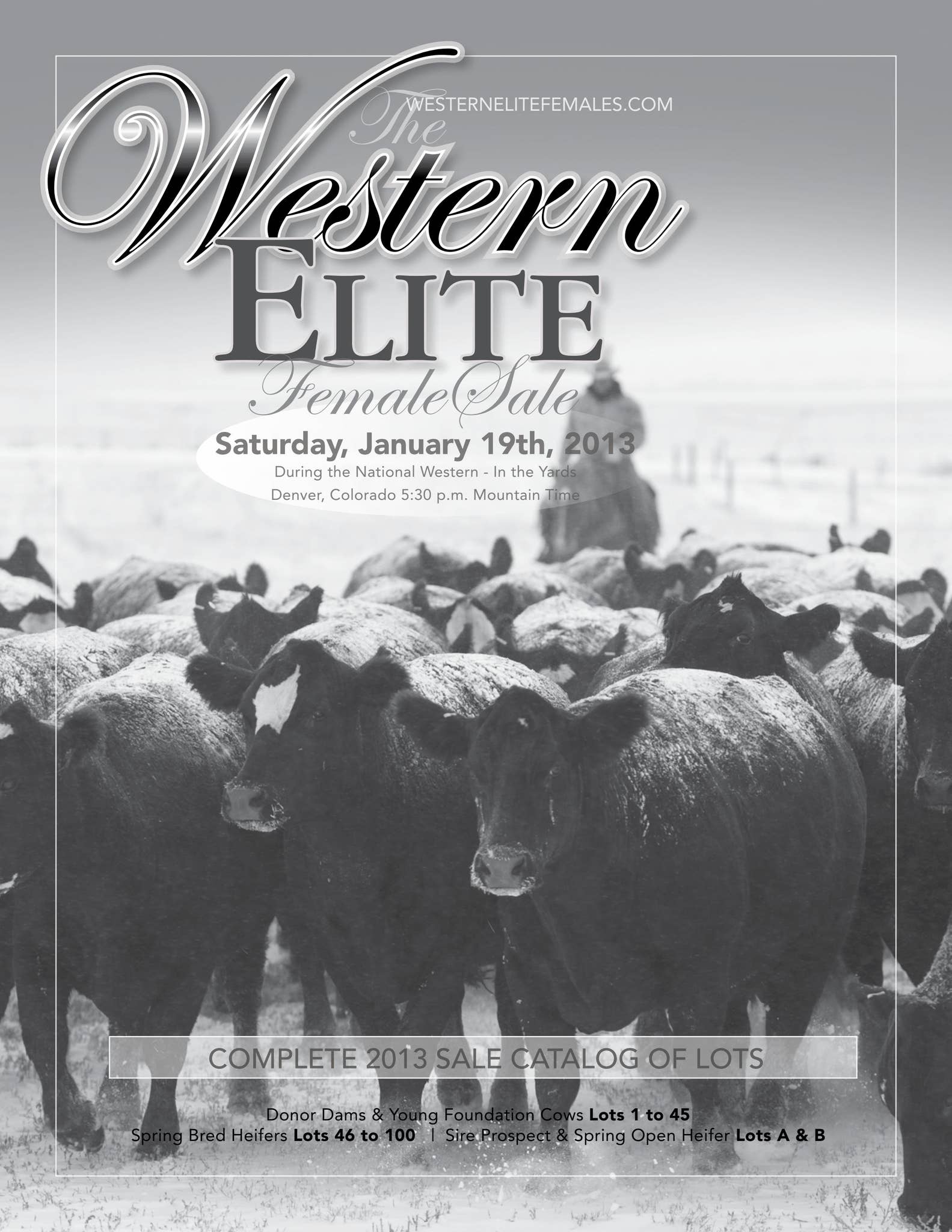 THE FOURTH WESTERN ELITE SALE by Cattle In Motion, LLC Issuu