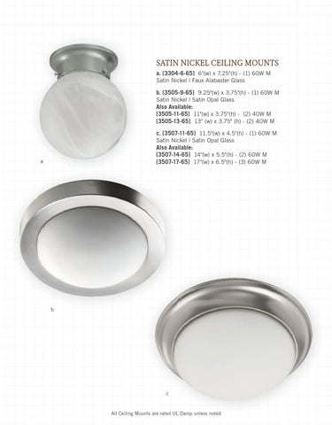 Pinhook Branding LLC 灯饰目录 · Quorum 灯饰 册 2013 吸顶灯 Mounts 第 10 页