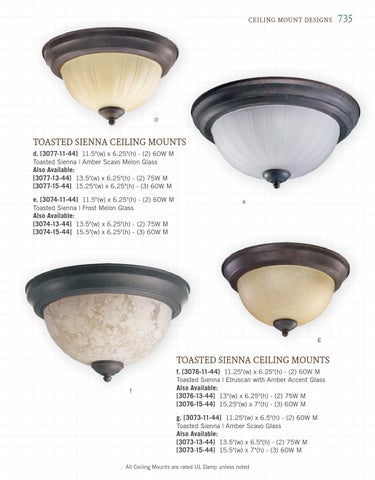 Pinhook Branding LLC 灯饰目录 · Quorum 灯饰 册 2013 吸顶灯 Mounts 第 13 页