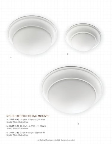 Pinhook Branding LLC 灯饰目录 · Quorum 灯饰 册 2013 吸顶灯 Mounts 第 16 页