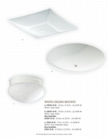 Pinhook Branding LLC 灯饰目录 · Quorum 灯饰 册 2013 吸顶灯 Mounts 第 18 页