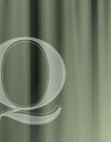 Pinhook Branding LLC 灯饰目录 · Quorum 灯饰 册 2013 吸顶灯 Mounts 第 2 页