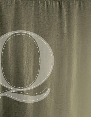 Pinhook Branding LLC 灯饰目录 · Quorum 灯饰 册 2013 Wall Sconces 第 2 页