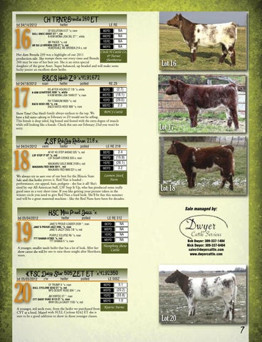 ※happy tanLevi's BIGE short horn Our Herd - Jungels Shorthorn Farm - Shorthorn Cattle in ND