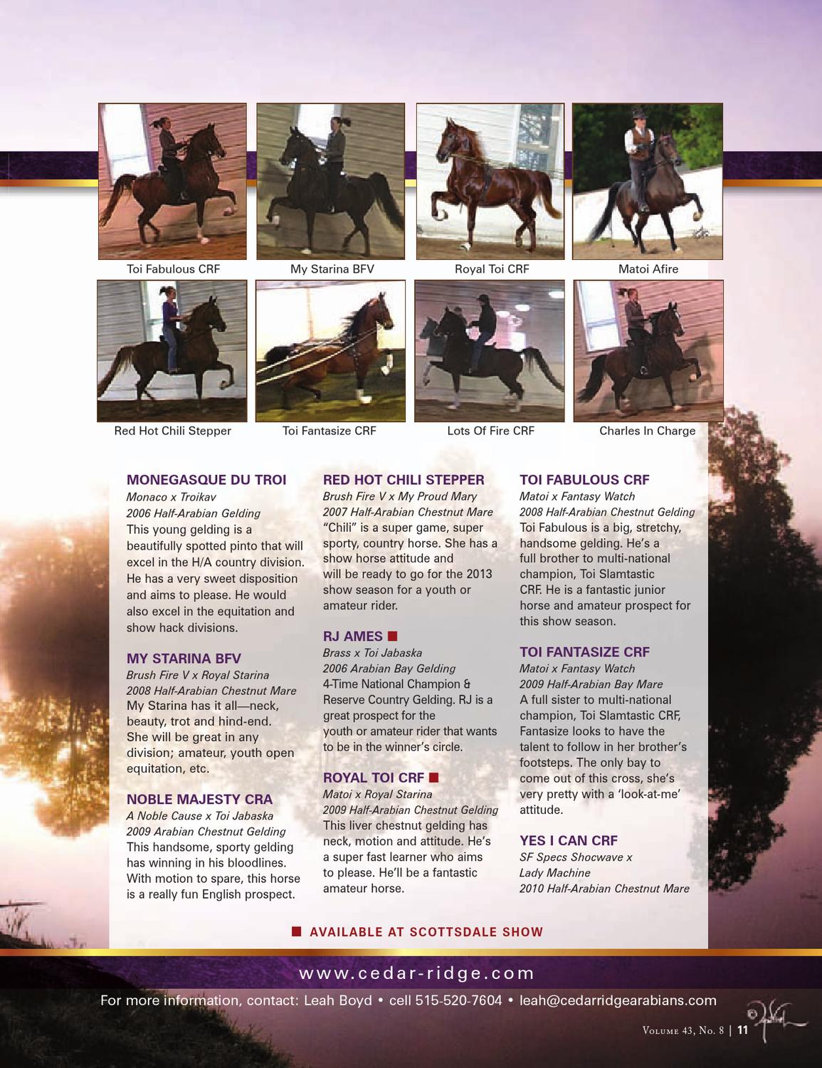 Arabian Horse Times Vol. 43, No pic