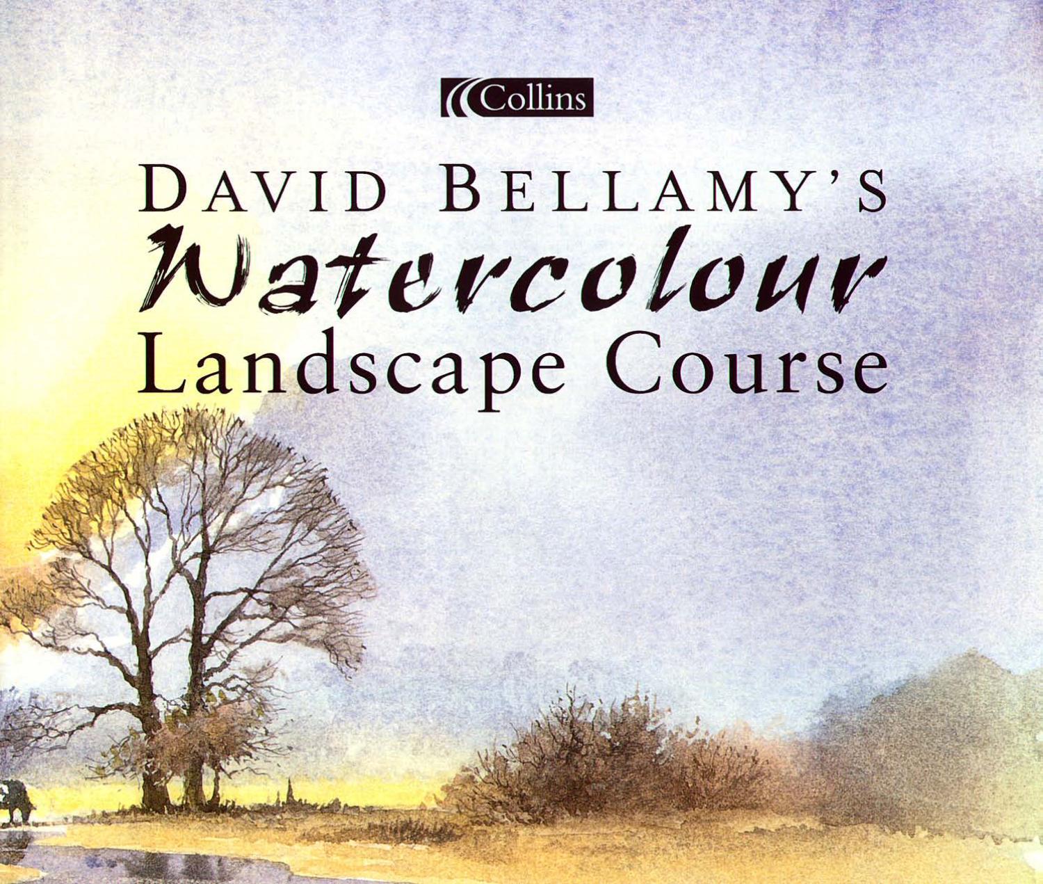 David Bellamy - Watercolour Artist