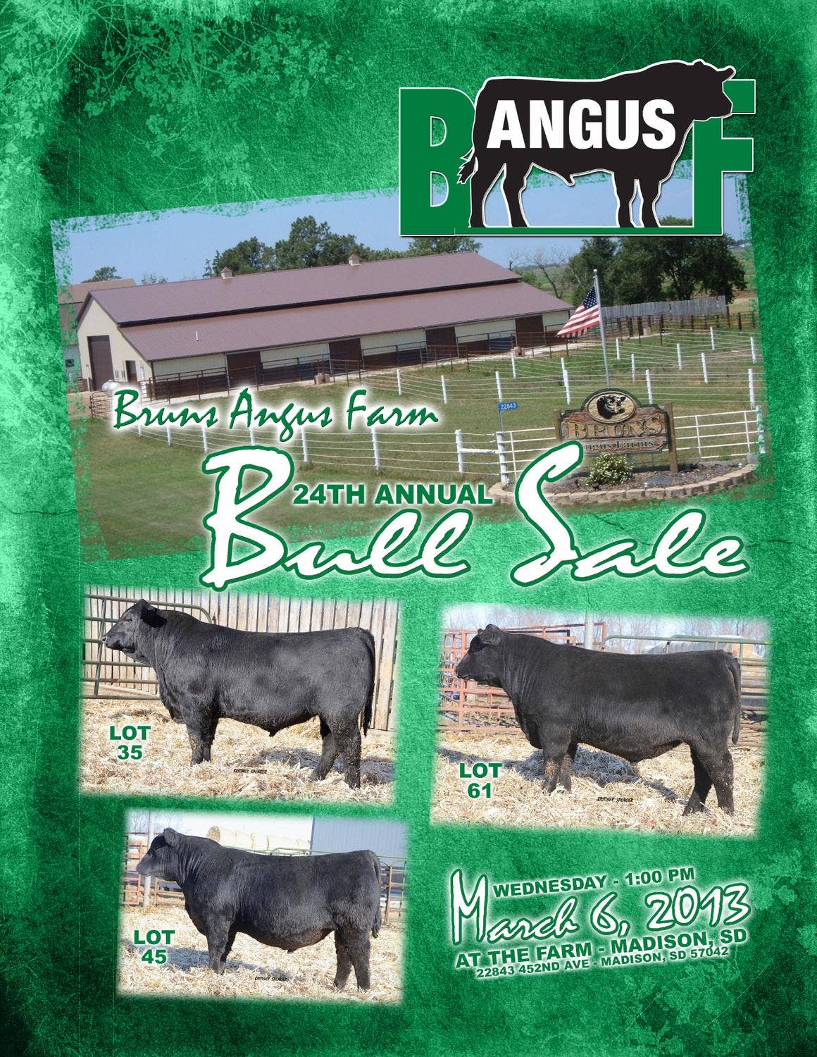 Bruns Catalog by EDJE Issuu