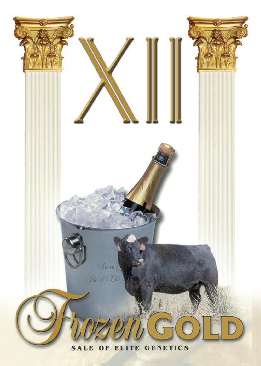 Frozen Gold XII by Craig Reiter Issuu