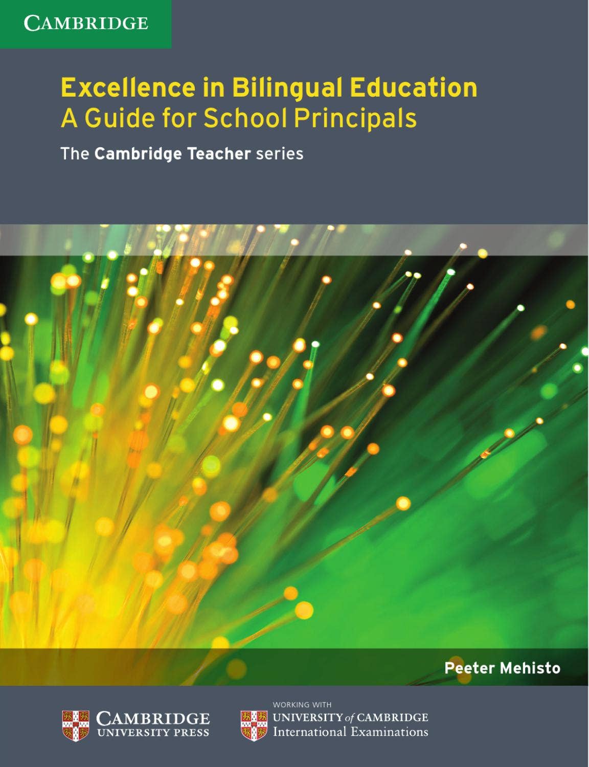 Excellence in Bilingual Education: A Guide for School Principals ...