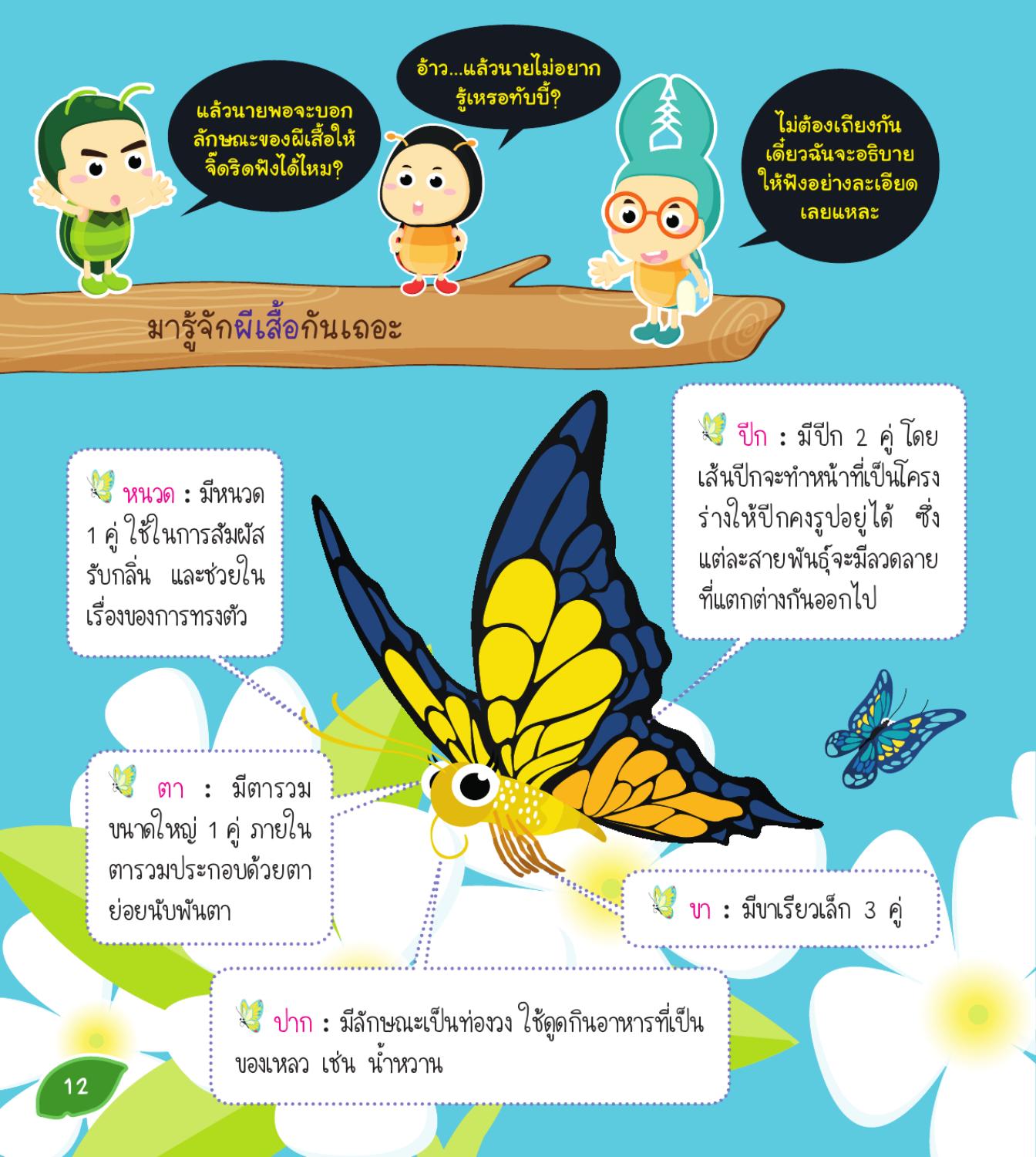 My Image 24
