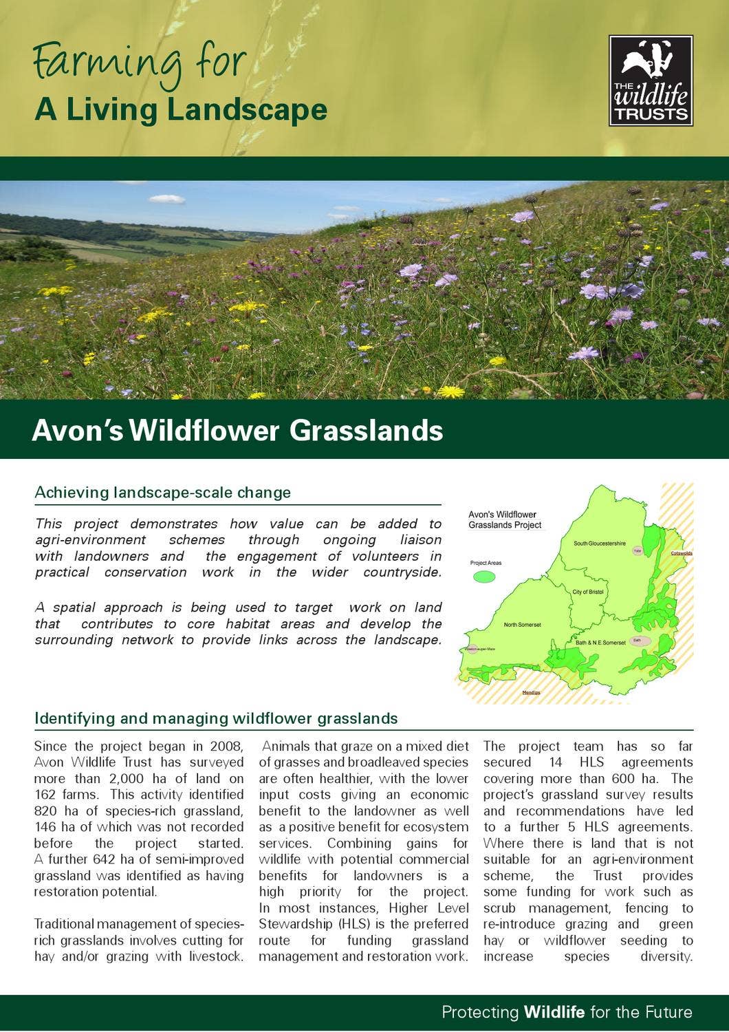 Avon Wildflower Grasslands Case Study by The Wildlife Trusts - Issuu