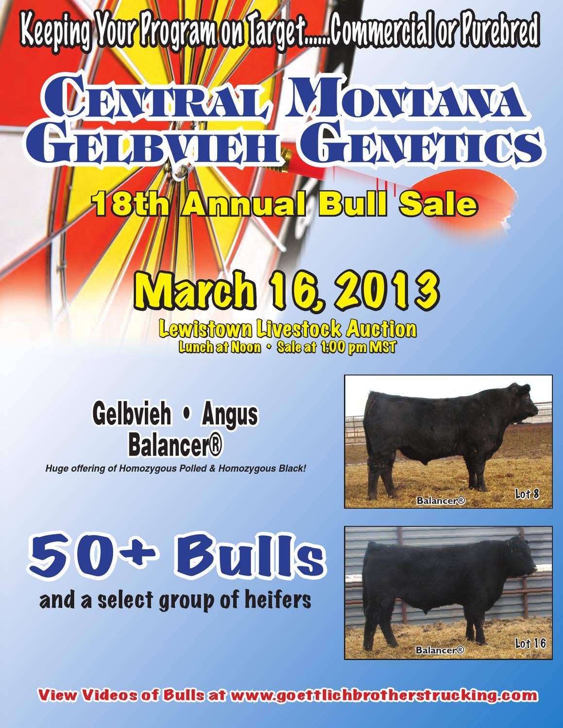 2013 Central Montana Catalog by American Gelbvieh Association Issuu