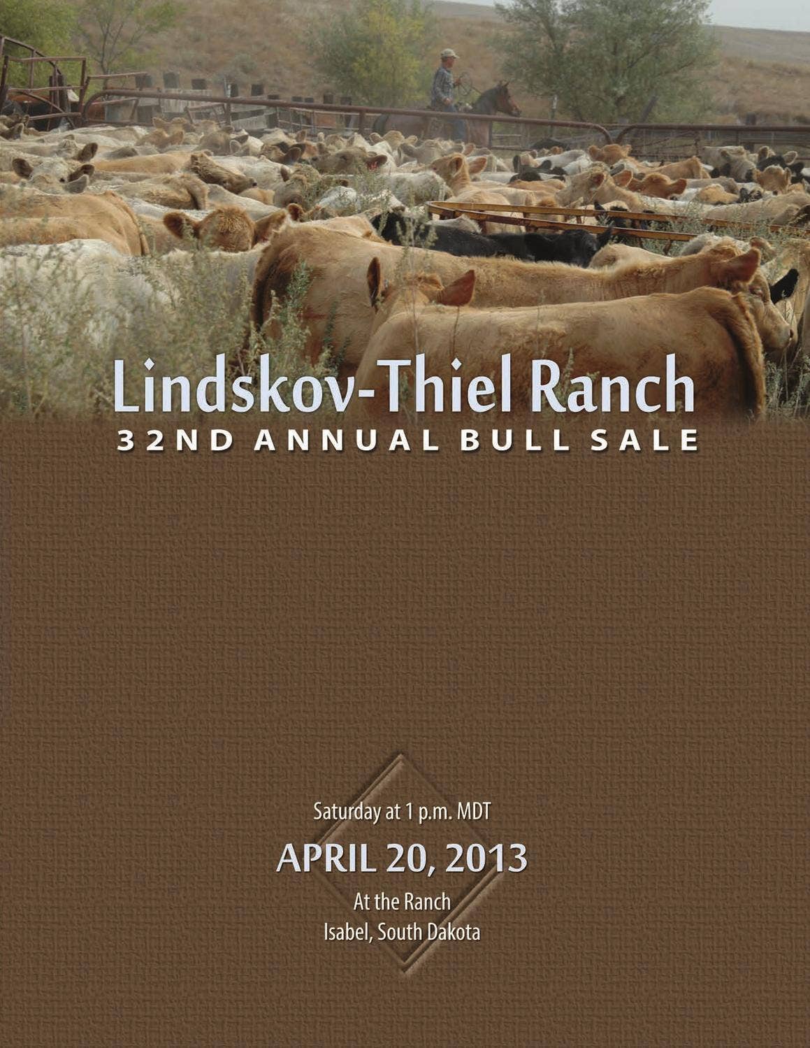 Lindskov Thiel Ranch 32nd Annual Bull Sale by LivestockDirect Issuu