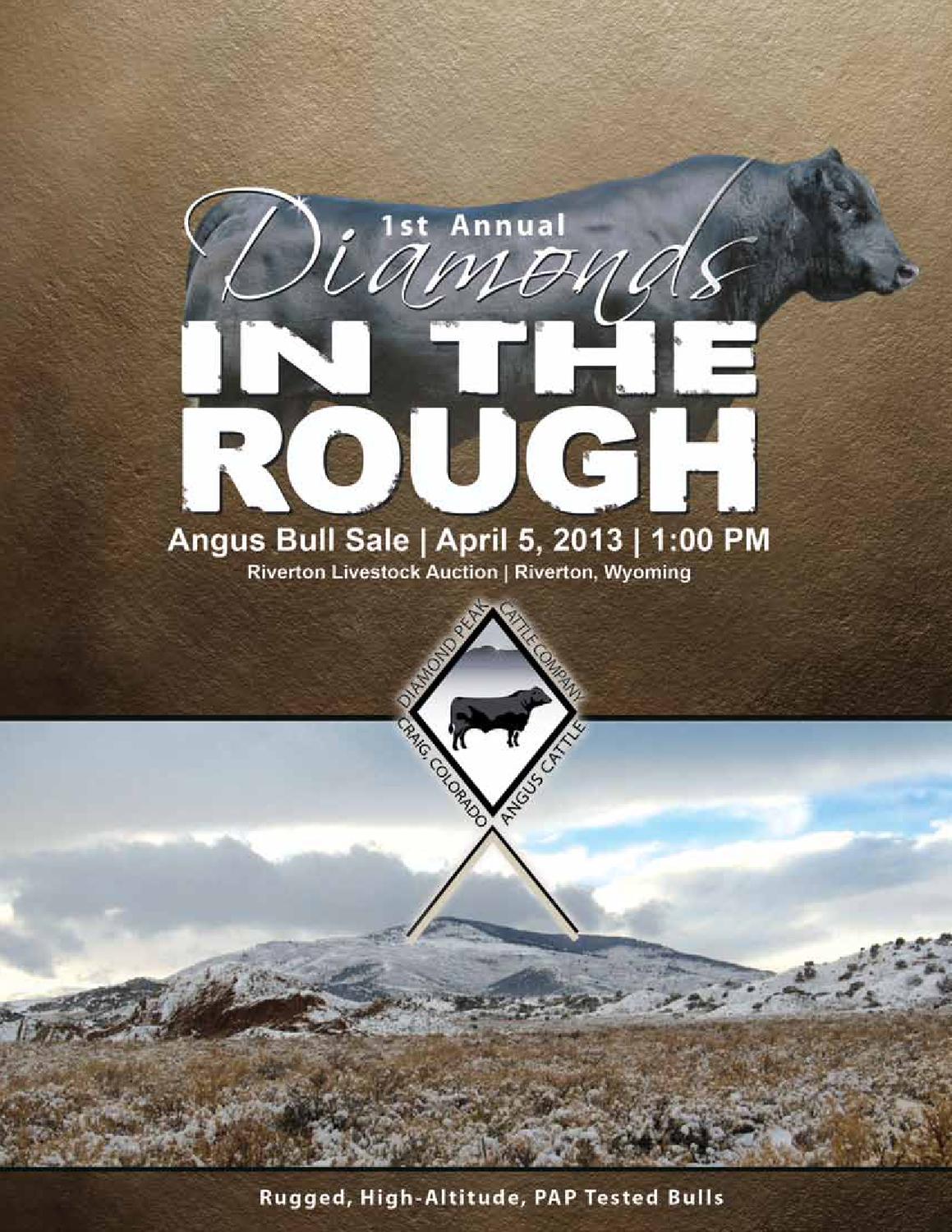 Diamonds In The Rough Angus Bull Sale Riverton by Cattle In Motion, LLC Issuu