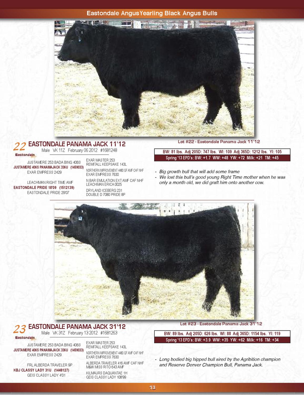 Eastondale Black Angus Bull and Female