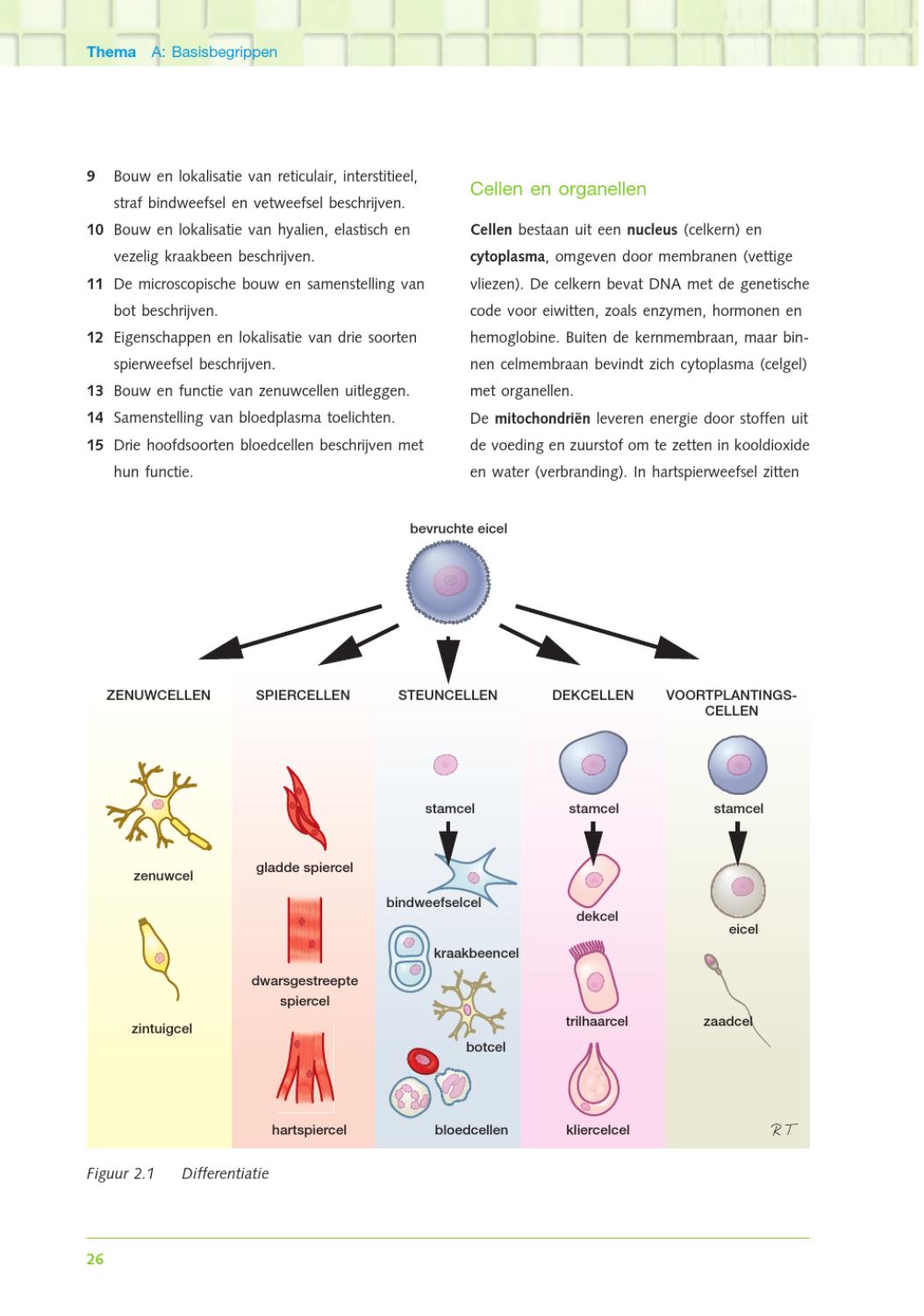 Klinische pathologie by ThiemeMeulenhoff Issuu