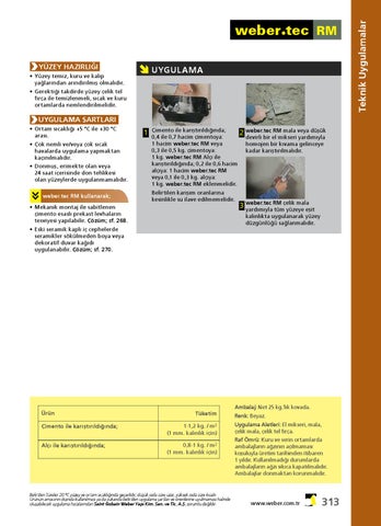 Page 313