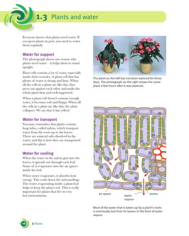 Cambridge Checkpoint Science Coursebook 9 by Cambridge International  Education - Issuu