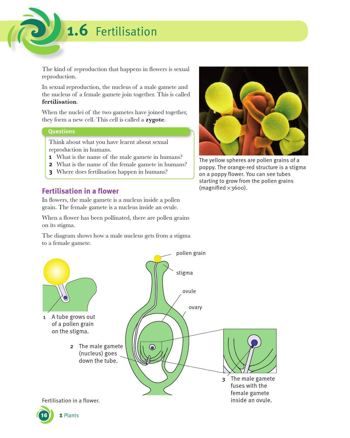 Cambridge Checkpoint Science Coursebook 9 by Cambridge International  Education - Issuu