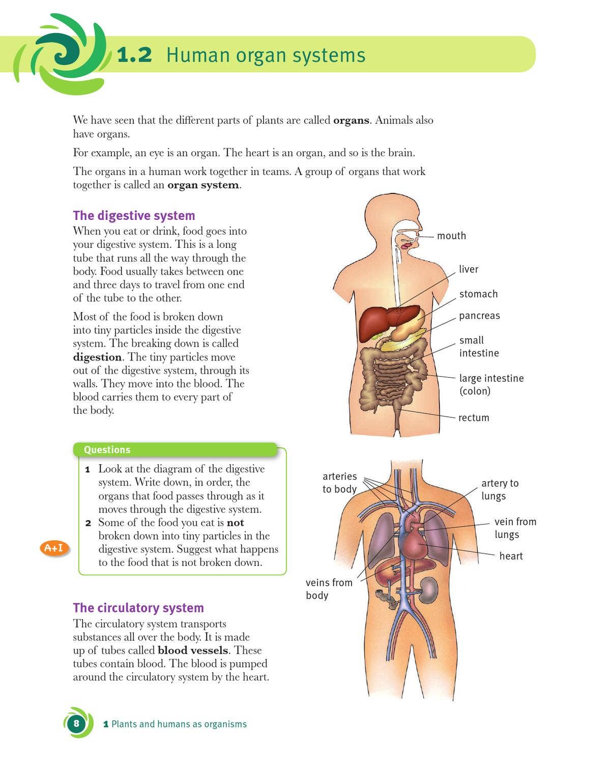 Cambridge Checkpoint Science Coursebook 7 by Cambridge
