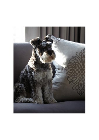 Louise Bradley Chepstow Villas Presentation High Res 第 18 页