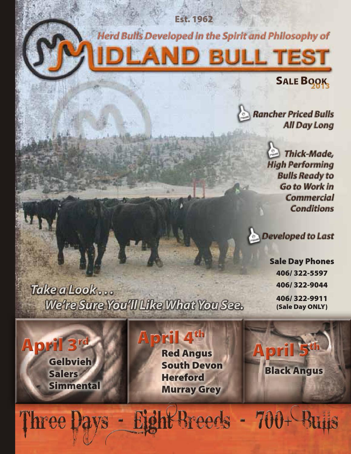 2013 Midland Bull Test Gelbvieh by American Gelbvieh Association Issuu