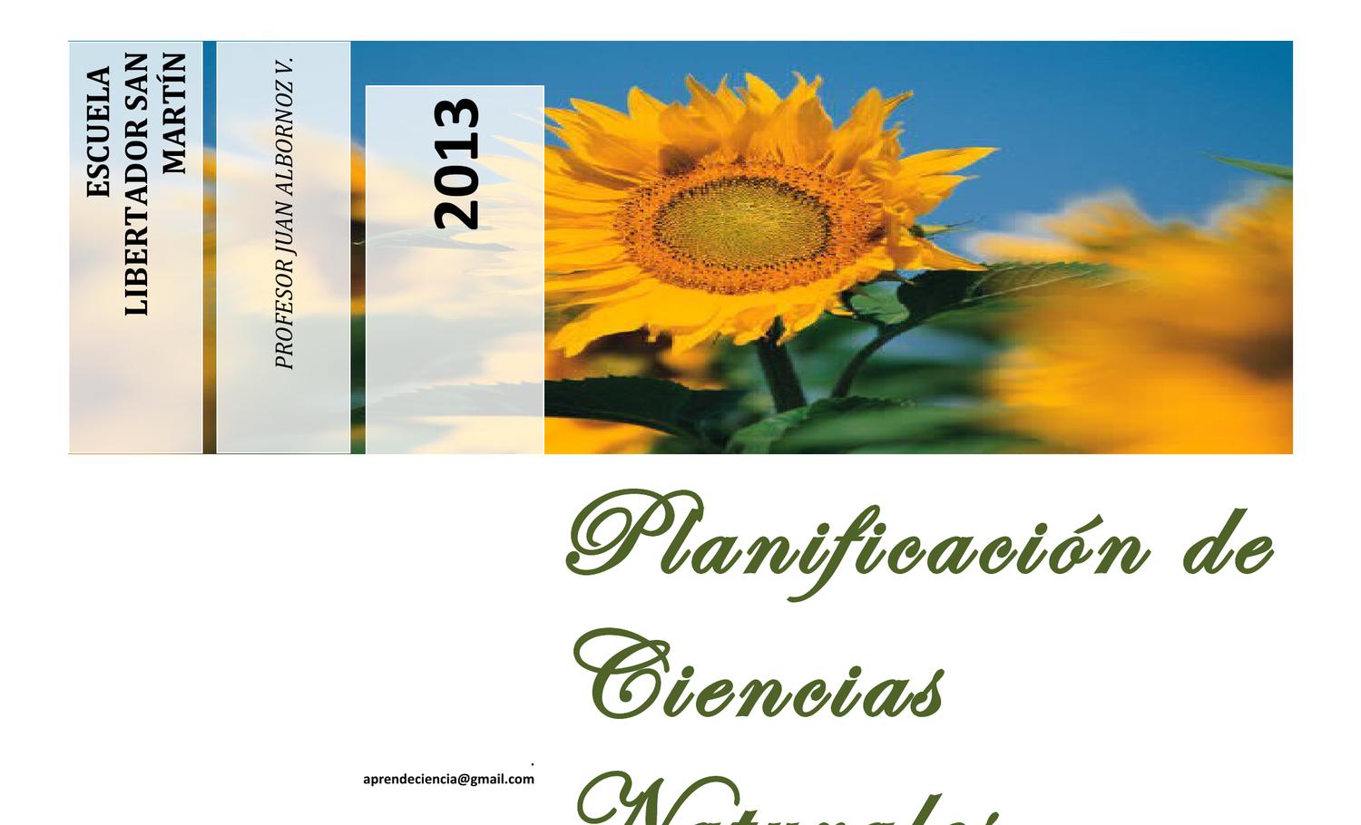 PLANIFICACIÓN DE CIENCIAS NATURALES QUINTO AÑO by juan albornoz Issuu