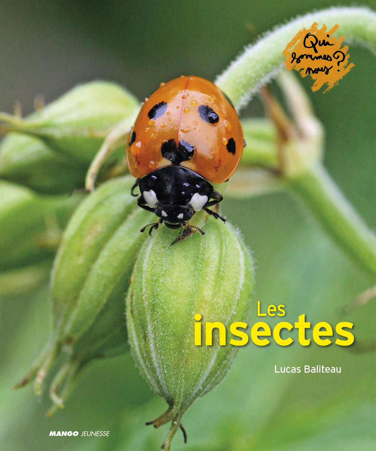 Qui sommes-nous_insectes by Fleurus Editions - Issuu