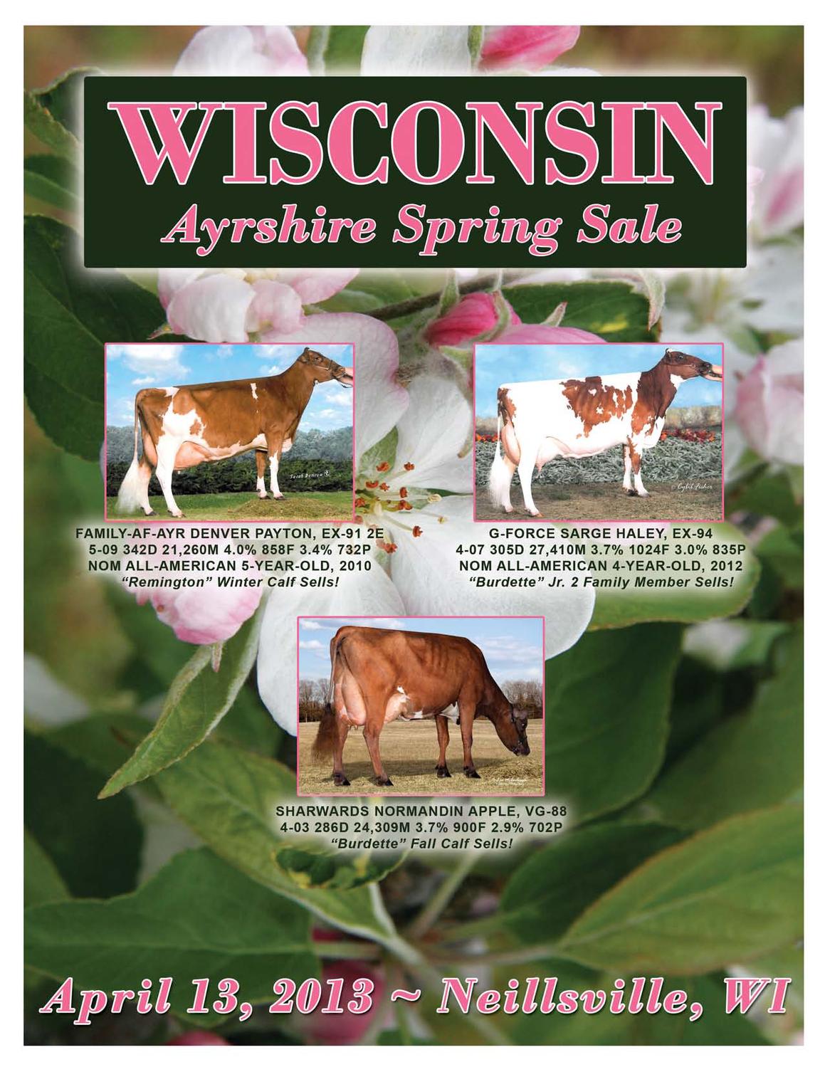 WI Ayrshire Spring Sale by Dairy Agenda Today Issuu