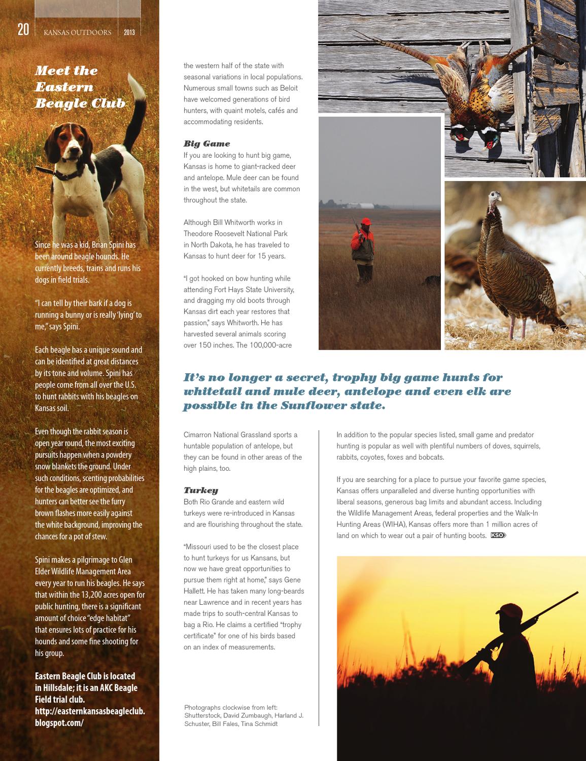 beagle clubs near me